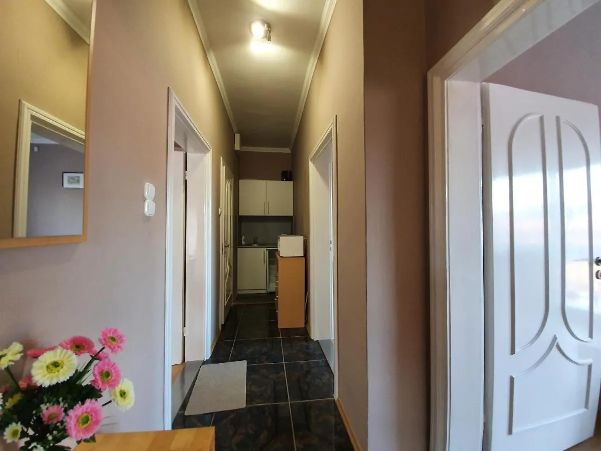 Party Vendeghaz Hotel Hajduszoboszlo Guest house
